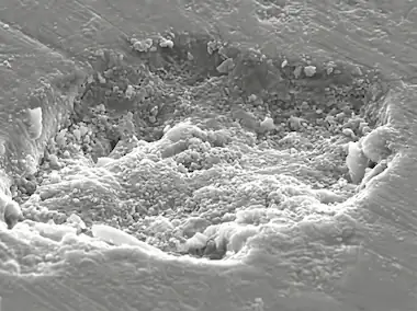 SEM Micrograph - Pietra naturale bagnata